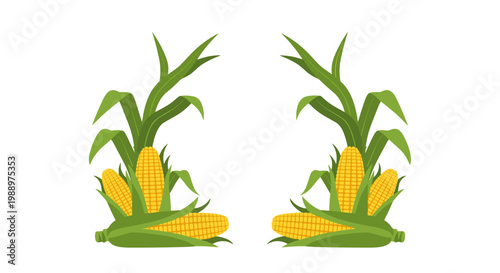 Pair of corn plants with green leaves and yellow cobs