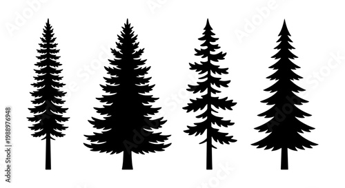 Pine tree silhouettes, 4 evergreen conifer vector icons, black forest fir tree set
