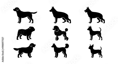 Dog breed silhouettes set, 9 canine animal icons, black pet profile vector collection
