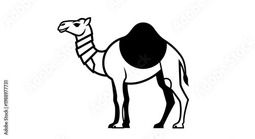 Dromedary Camel Standing Profile View.