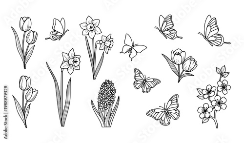 A delicate black and white vector illustration of flowers and butterflies