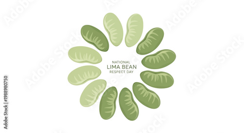 Overhead vector illustration celebrating National Lima Bean Respect Day by arranging several lima beans in a circular design, presented against a clean white background with soft, natural