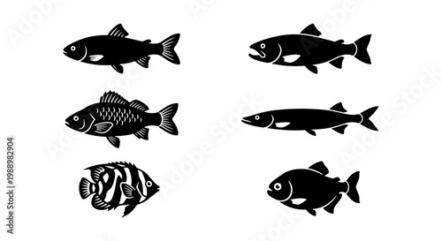 Black fish silhouettes set, 6 aquatic animal icons, fishing and seafood vector symbols