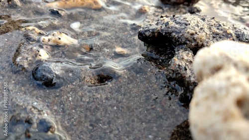 a small stream flowing through the black sand