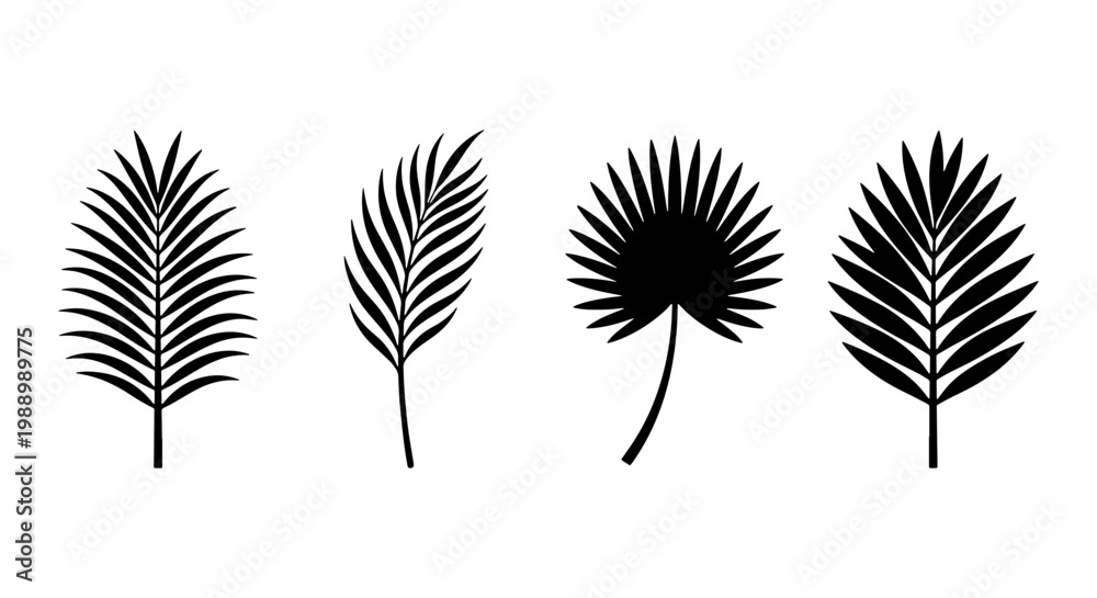 Fototapeta premium Tropical palm leaf silhouettes, 4 black botanical icons, exotic foliage vector set