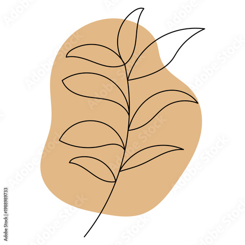 Aesthetic Botanical Line