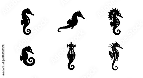 Seahorse silhouette collection, 6 black sea horse icons, marine animal vector set