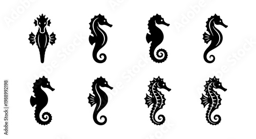 Seahorse silhouette icons set, black sea horse vector elements, marine life logo collection