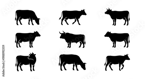 Black cow silhouettes, 9 farm animal vector icons, cattle livestock set for butchery
