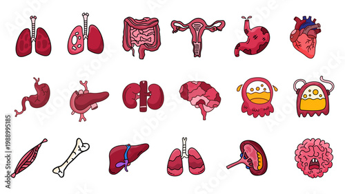 complete set of human internal organs and body parts in cartoon style