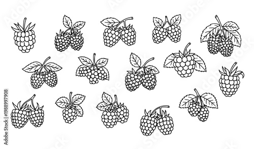 Raspberry Outline Icon Set with Various Berry and Leaf Compositions for Fruit Design, Healthy Food Illustration, Organic Nutrition Concepts and Fresh Produce Graphics