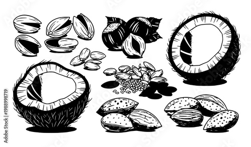 A black and white vector illustration of various coconut and pistachio nuts