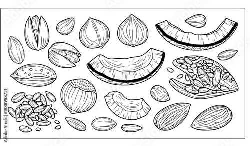 A black and white vector illustration of various watermelon slices and seeds