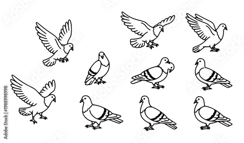 A set of black and white vector illustrations of pigeons in various poses