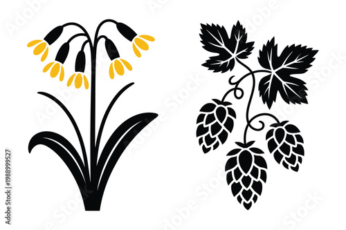 Botanical vector illustration of yellow wildflowers and black hop cones