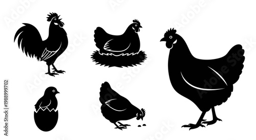 A collection of black silhouette illustrations depicting various chickens, including a rooster, hens, and chicks, showcasing different poses and activities
