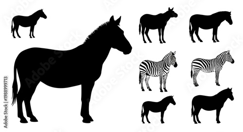 Comprehensive Vector Collection of Equine Animal Silhouettes, Featuring Majestic Horses and Striped Zebras, Ideal for Wildlife, Farm, and Equestrian Graphic Design Projects