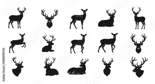 A comprehensive collection of elegant deer silhouettes showcasing various poses and majestic antler forms, perfect for diverse design projects and nature-themed graphics