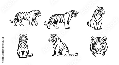 Dynamic Collection of Majestic Tiger Illustrations in Various Poses, Featuring Detailed Monochromatic Vector Art for Wildlife and Nature Themes