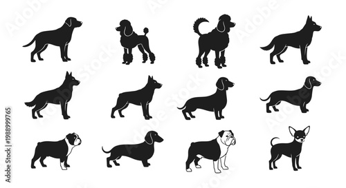 Collection of Silhouette Dog Breeds Illustration A Variety of Canine Companions Captured in Vector Art