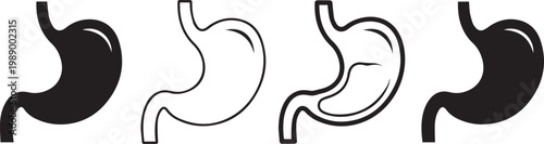 Stomach anatomy, medical organ, digestive system outline, medical healthcare icon.