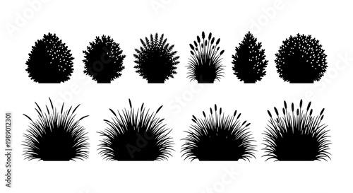 Plants black silhouettes set with various bushy and spiky textures, isolated on white background featuring bushes, graphics, illustrations with