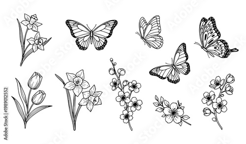 A set of black and white line art illustrations of flowers and butterflies