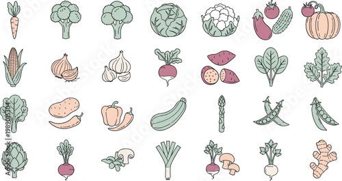 Various colorful vegetables and fruits flat line art icons set on white background for healthy diet.