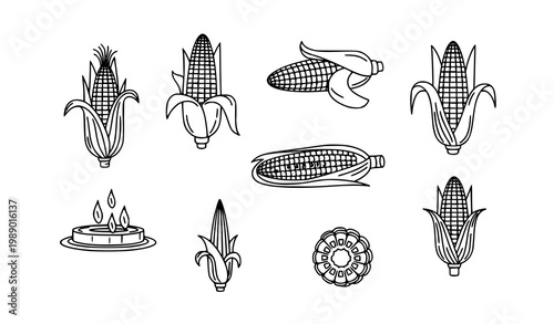 Minimal corn cob line art icon collection with different vegetable variations for food and agriculture design