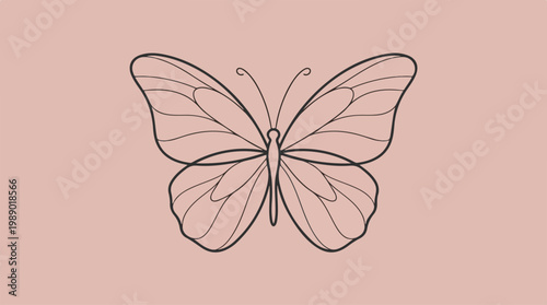 Beautiful Butterfly Insect Winged Creature.