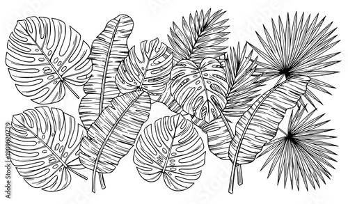 A black and white illustration of various tropical leaves on a white background