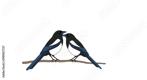 Two Magpies on a Branch Together.