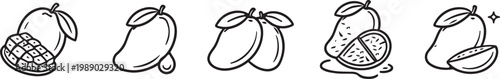 Hand drawn mango illustrations a series of whole sliced and segmented tropical fruits
