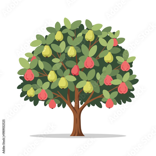 Cartoon Pear Tree with Red and Yellow Fruit, Vector Illustration