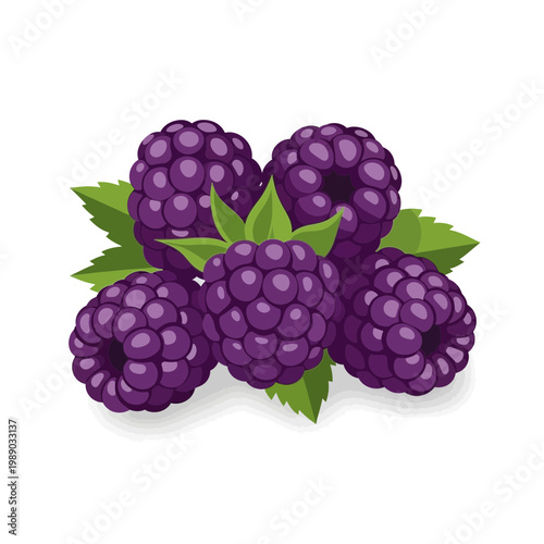 Fresh Blackberries with Green Leaves Isolated on White Background