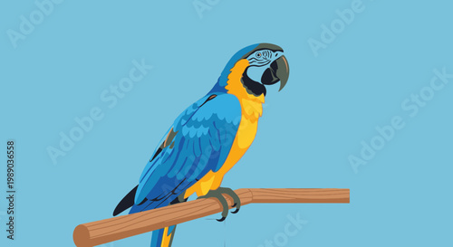 Vibrant Blue and Yellow Parrot Bird.