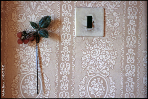 Plastic decoration and old light switch in front of a decorated 