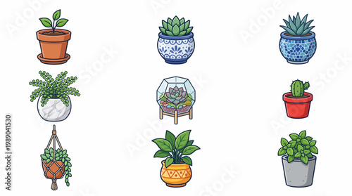 Collection of decorative indoor plants and succulents in various ceramic and hanging pots