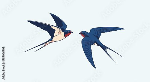 Two Swallows Flying in Air.