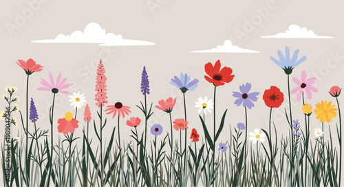 Beautiful field of colorful wildflowers and green grass growing under fluffy white clouds in a bright summer day.