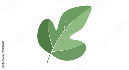 Foto Single green leaf with multiple lobes and visible veins