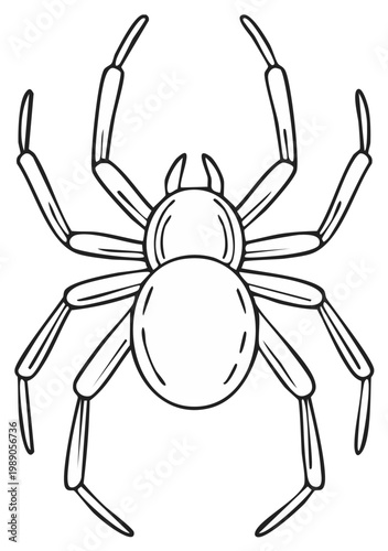 Cartoon spider illustration, arachnid with eight legs, overhead view, web concept.
