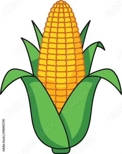 Vibrant illustration of a ripe corn on the cob with green leaves on white background