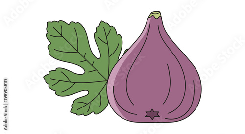 Fresh purple fig with green leaves.