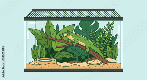 Green chameleon in a terrarium habitat.