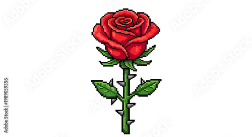 A single vibrant red rose with sharp thorns.