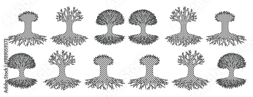Set of 12 Stylized Tree Vector Icons with Roots