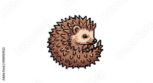 Cute Hedgehog Curled Up Illustration Isolated White Background.