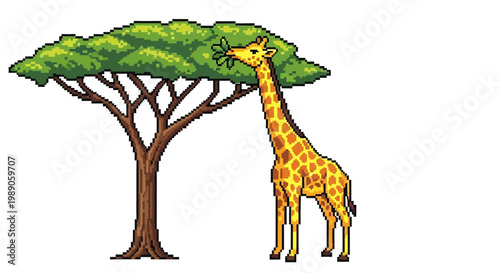 A Tall Giraffe Reaching for Green Leaves on a Tree.