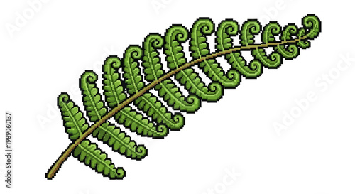 Detailed Illustration of a Vibrant Green Fern Frond.